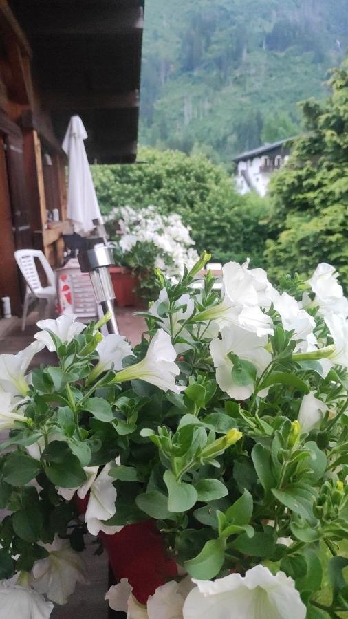 霞慕尼 Tellahouse酒店 外观 照片